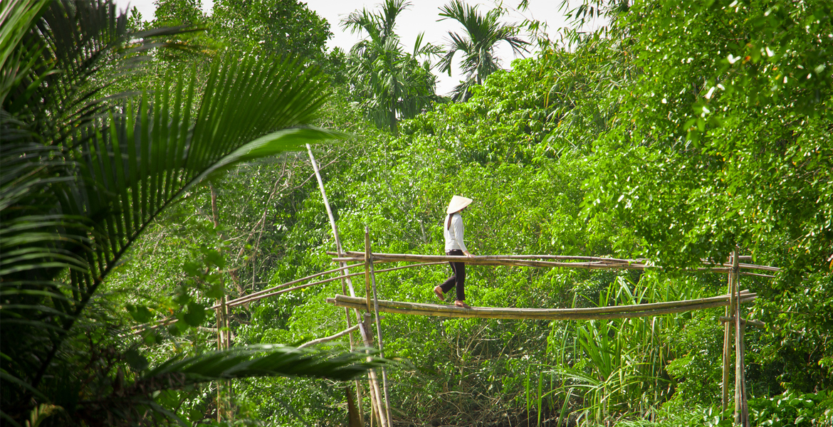 Mekong Delta Full Day by Speedboat